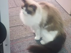 -零纪元VR体验馆·桌游(黄浦店)