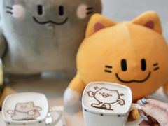 -深圳国际会展中心希尔顿酒店(前海华发冰雪世界店)