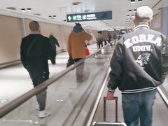 -哈尔滨太平国际机场-T2航站楼