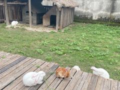 -乌村