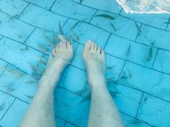 -汕头莲花山度假村温泉