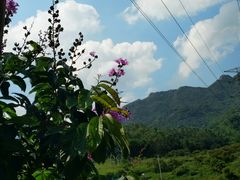 -亚婆田·白水寨生态旅游度假区