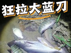 -南宁良凤江国家森林公园