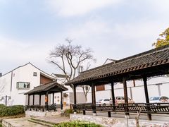 -东梓关景区村庄