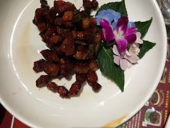 -小娘惹厨房Little Nyonya(狮城有约上榜店)