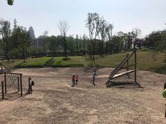 -铁山坪森林公园