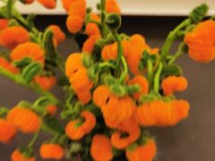 -黄山西海饭店-自助餐厅