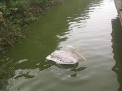 -无锡动物园·太湖欢乐园
