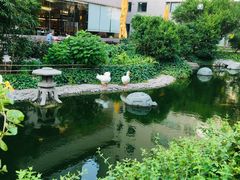 -长富宫饭店·日本料理樱
