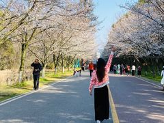 -团城山公园