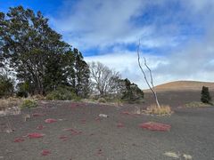 -夏威夷火山国家公园