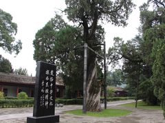 -黄帝陵