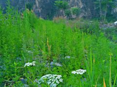 -十渡东湖港风景区