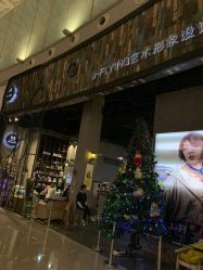 -J-Flying艺术形象设计