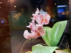 -上海自然博物馆