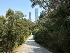 -荔枝公园-小平画像广场
