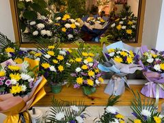 -溪岸路花鸟市场