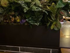 -客家园.山野土菜.宴席(大运城邦店)