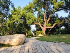 -乌山风景区
