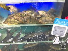 -盒马鲜生(宝地店)