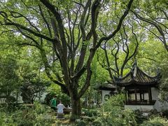 -上海醉白池公园