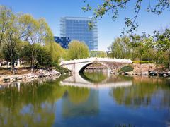 -大兴滨河森林公园