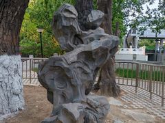 -大望京公园