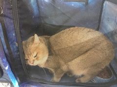-杭州滨江宝龙城