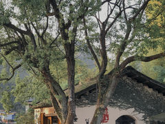-村上春树