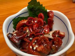 芝麻八爪鱼-文三酒肆自助放题(新街口友谊广场店)