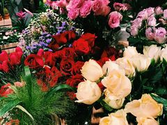 -植物学家的女儿(北马道巷店)