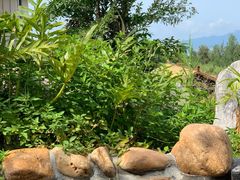 -惠州金海湾嘉华度假酒店