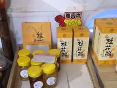 -苏州市吴中区光福窑上花果蜜饯厂