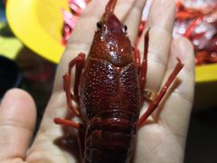 -眼镜哥浦江夜宵大本营