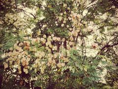 -苏州河梦清园环保主题公园