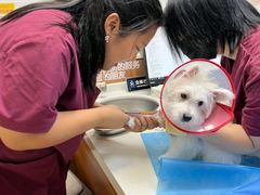 -宠福鑫动物医院·动物疾病诊疗中心(天通苑店)