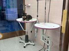 -FAELING PETS美天灵宠物(富力广场店)