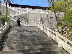 -石老人观光园