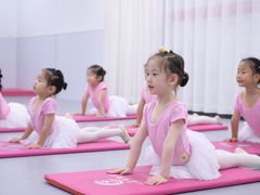 -小芳舞蹈团·少儿舞蹈·中国舞(龙江校区)