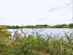 -东郊湿地公园