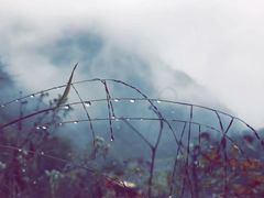 -九峰山