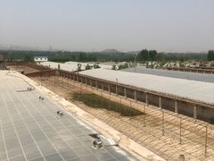 -东方巨龟苑景区