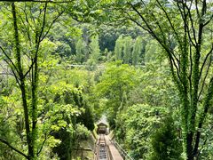 -栾川竹海野生动物园