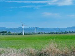 -野鸭湖国家湿地公园