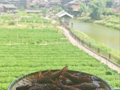 -客雨侗菜馆(客雨民宿店)