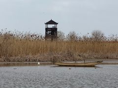 -盐城丹顶鹤湿地生态旅游区