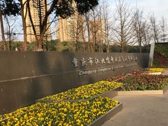 -重庆市江北嘴中央商务区中央公园