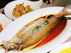 -醉庐·新上海菜(南京西路店)