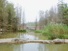 -云溪植物园