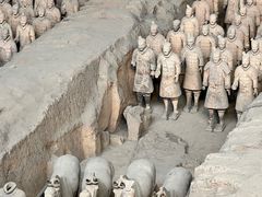 -秦始皇帝陵博物院(兵马俑)